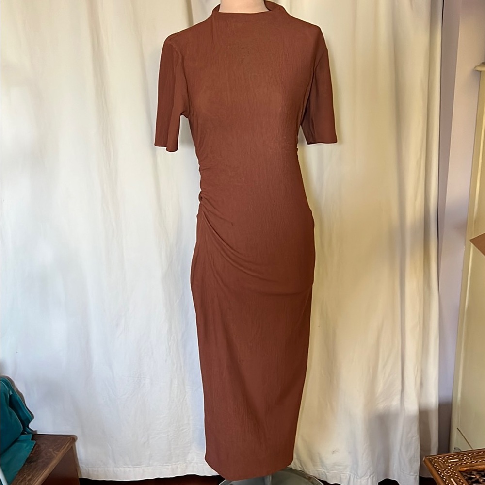 Zara Brown Bodycon Maxi Dress with Mock Neck